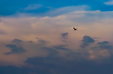 Inspirational landscape with silhouette of a lonely bird flying high through the clouds in the evening sky. Concept of Freedom, Independence, Life, Journey, Love and Lone warrior. Selective focus.