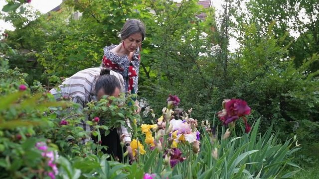 WS Man and woman picking up flowers in garden / Cameri, Novara, Italy