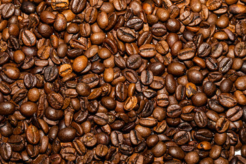 Patrón de granos de café
