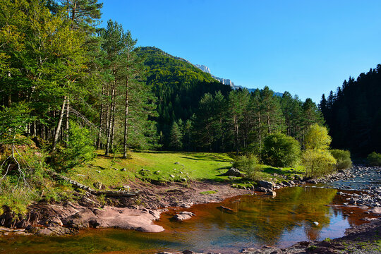 Selva de Oza (Huesca) - 02