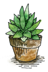 Watercolor tropical leaves, potted house plants, watercolor illustration