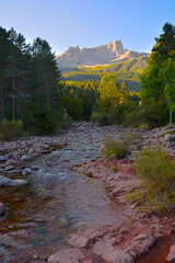 Selva de Oza (Huesca) - 03