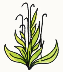 Watercolor tropical leaves, potted house plants, watercolor illustration