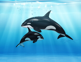 Obraz na płótnie Canvas Killer Whale In Sea Realistic Composition