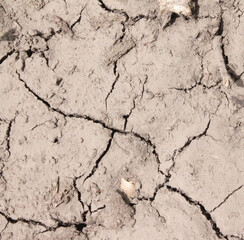 the texture of the earth, pure land, flower pot with soil. background with pot