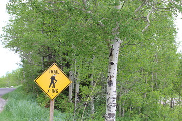 Trail Crossing Sign