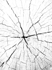 cracked white wood texture, abstract background template