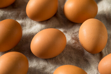 Raw Organic Brown Eggs