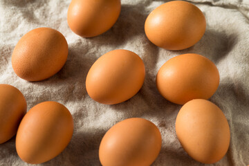 Raw Organic Brown Eggs