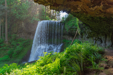Majestic waterfall surrounded by lush vegetation from inside a forest cave in Oregon