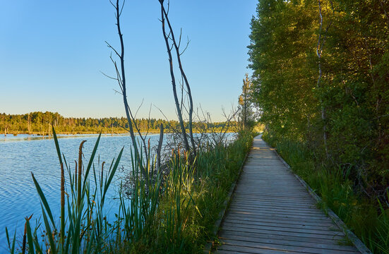 Beautiful footbridge near the lake © Daniel