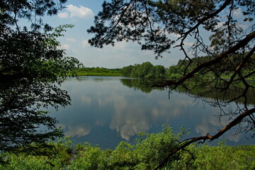 Forest lake Deaf pit on a summer sunny day.