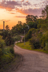 Atardecer en un camino rodeado de árboles