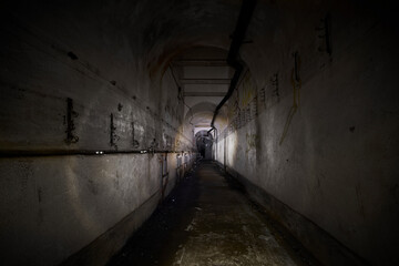Fototapeta na wymiar Bunker from the Maginot Line
