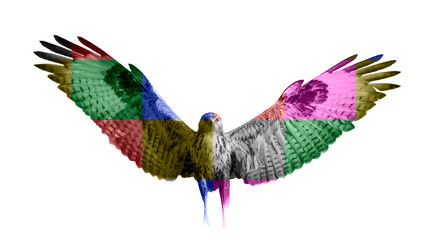 Colorful abstract animals. Isolated birds. White background. Bird: Long legged Buzzard. Buteo rufinus.