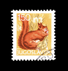 Yugoslavia - circa 1978 :  Cancelled postage stamp printed by Yugoslavia, that shows Squirrel,...