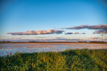 Flooded Louisiana Rice Field With Low Lying Clouds Overhead During Golden Hour Before Sunset