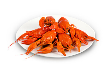 Red boiled crayfish on a plate isolated on a white background