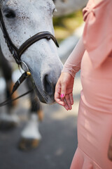 Obraz premium white beautiful horse portrait on green background