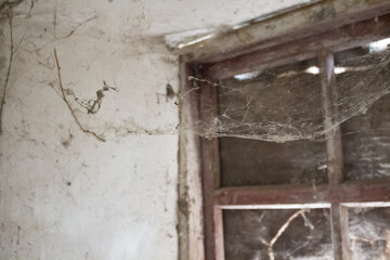 Gloomy window with cobwebs in an abandoned house. Old web on the window and in the corners. Creepy atmosphere, darkness