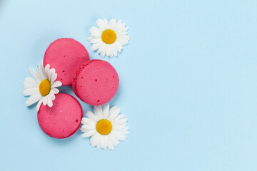 Camomile flowers and macaroon cookies
