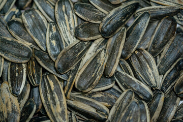 Close-up image of sunflower seed background