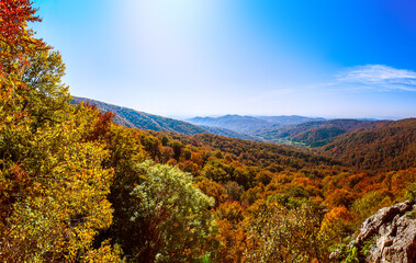 Autumn mountains landscape.