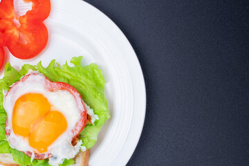 Sandwich with egg and lettuce. Food concept. Copy Space for design
