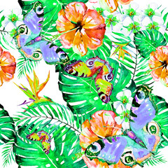 Hawaiian flowers, butterflies, watercolor, exotic plants, isolated on a white