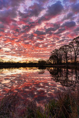 Cloudy Sunrise and Silhouetted Trees Reflected in Pond 