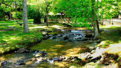 Stream in the park