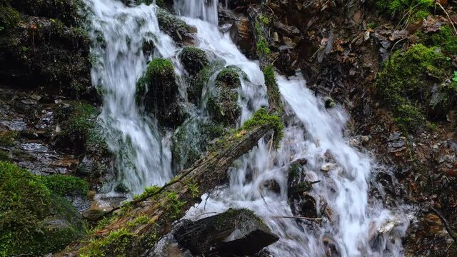 MS Waterfall and moss / Kastel-Staadt, Rhineland-Palatinate, Germany