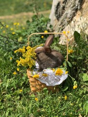 Bunnies in Baskets 112