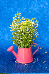 A bouquet of delicate white flowers in a vase on a blue background