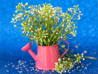 A bouquet of white flowers in a vase in the form of a watering can on a blue background