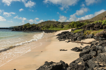 A view of the beach at Punta Cormorant, Floreana Island, Galapagos. 