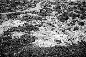 Cloudy day at Xel-Ha, Mexico Virgin beach in the Caribbean