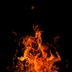 fire on a black background isolated