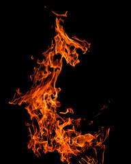 fire on a black background isolated