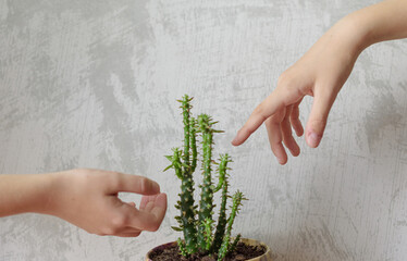 hands of children who can't touch each other through the cactus, the concept of social distance and...