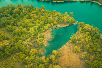 the river and its canals surrounded by oaks. water is covered with algae - Aerial Flight 