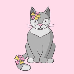 Beautiful gray cat on a pink background