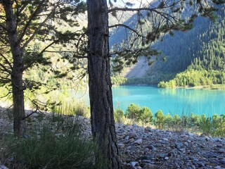 blue lake in the mountains, mountain landscape pine fir trees