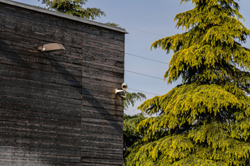 Video Surveillance Camera on Wooden Wall Outdoor with Light Outdoor and Big Tree on Background Technology Secure Concept