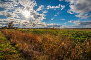 prairie grass and field behind is highlighted by low sun streaming through the clouds with a blue sky above, field and sky in colors of autumn meet on a distant horizon, off hwy 55 near Litchfield Il.