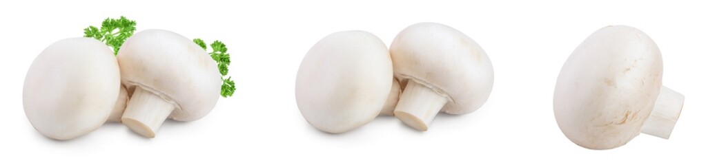 Fresh mushrooms champignon isolated on white background with clipping path and full depth of field. Set or collection