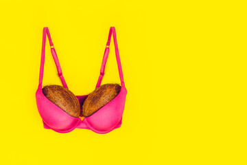 Two coconuts in bright pink bra on yellow background. Woman breast metaphor. Plastic surgery,...