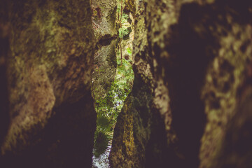 Crystal clear calm water reflecting the plants and the trees, seen from between / behind two big rocks