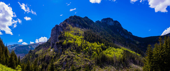 Dolina Kościeliska w Tatrach Zachodnich w Tatrzańskim Parku Narodowym - obrazy, fototapety, plakaty