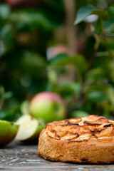 Apple pies on an old wooden table under an apple tree in a village. Bright sunny day and tasty homemade dessert with compote.